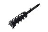 1355050R Suspension Strut and Coil Spring Assembly - image 3