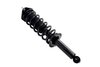 1355051L Suspension Strut and Coil Spring Assembly - image 2