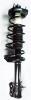 2331008L Suspension Strut and Coil Spring Assembly - image 1