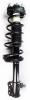 2331008R Suspension Strut and Coil Spring Assembly - image 1