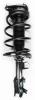 2331579L Suspension Strut and Coil Spring Assembly - image 1