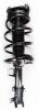 2331579R Suspension Strut and Coil Spring Assembly - image 1