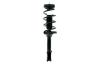 2331583L Suspension Strut and Coil Spring Assembly - image 1