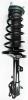 2331590L Suspension Strut and Coil Spring Assembly - image 1