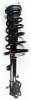 2331590R Suspension Strut and Coil Spring Assembly - image 1