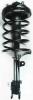 2331595L Suspension Strut and Coil Spring Assembly - image 1