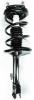 2331604L Suspension Strut and Coil Spring Assembly - image 1