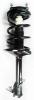 2331623L Suspension Strut and Coil Spring Assembly - image 1