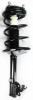 2331623R Suspension Strut and Coil Spring Assembly - image 1