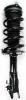 2331629R Suspension Strut and Coil Spring Assembly - image 1