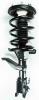 2331632R Suspension Strut and Coil Spring Assembly - image 1