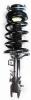 2331645R Suspension Strut and Coil Spring Assembly - image 1