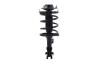 2331659L Suspension Strut and Coil Spring Assembly - image 1