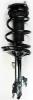 2331660R Suspension Strut and Coil Spring Assembly - image 1