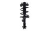 2331661R Suspension Strut and Coil Spring Assembly - image 1