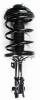 2331663R Suspension Strut and Coil Spring Assembly - image 1
