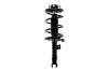 2331664L Suspension Strut and Coil Spring Assembly - image 1