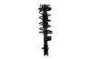 2331741L Suspension Strut and Coil Spring Assembly - image 1