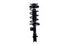 2331741R Suspension Strut and Coil Spring Assembly - image 1