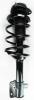 2331747R Suspension Strut and Coil Spring Assembly - image 1