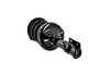 2331762L Suspension Strut and Coil Spring Assembly - image 2