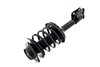 2331762L Suspension Strut and Coil Spring Assembly - image 3