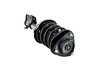 2331762L Suspension Strut and Coil Spring Assembly - image 4