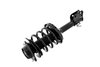 2331762R Suspension Strut and Coil Spring Assembly - image 3