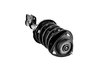 2331762R Suspension Strut and Coil Spring Assembly - image 4