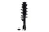 2331774L Suspension Strut and Coil Spring Assembly - image 1