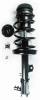 2331776L Suspension Strut and Coil Spring Assembly - image 1
