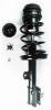 2331776R Suspension Strut and Coil Spring Assembly - image 1