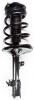 2331782L Suspension Strut and Coil Spring Assembly - image 1