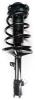 2331782R Suspension Strut and Coil Spring Assembly - image 1