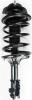 2331794L Suspension Strut and Coil Spring Assembly - image 1