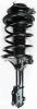 2331794R Suspension Strut and Coil Spring Assembly - image 1