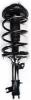 2331796L Suspension Strut and Coil Spring Assembly - image 1