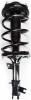 2331796R Suspension Strut and Coil Spring Assembly - image 1