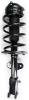2331821 Suspension Strut and Coil Spring Assembly - image 1