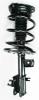 2331839L Suspension Strut and Coil Spring Assembly - image 1