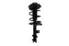 2331909L Suspension Strut and Coil Spring Assembly - image 1