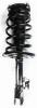 2332367R Suspension Strut and Coil Spring Assembly - image 1