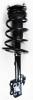 2333319R Suspension Strut and Coil Spring Assembly - image 1