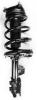2333355L Suspension Strut and Coil Spring Assembly - image 1