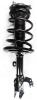 2333375R Suspension Strut and Coil Spring Assembly - image 1
