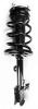 2333393R Suspension Strut and Coil Spring Assembly - image 1