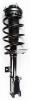 2333406L Suspension Strut and Coil Spring Assembly - image 1