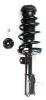 2333415R Suspension Strut and Coil Spring Assembly - image 1