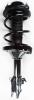 2333438L Suspension Strut and Coil Spring Assembly - image 1