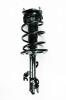 2333444L Suspension Strut and Coil Spring Assembly - image 1
